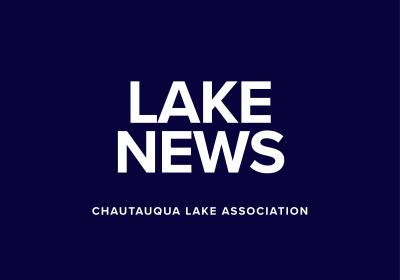 LAKE NEWS: Lake Alliance Working on Starry Stonewort Plan