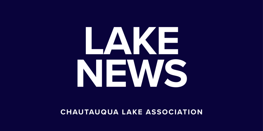 LAKE NEWS: Lake Alliance Working on Starry Stonewort Plan
